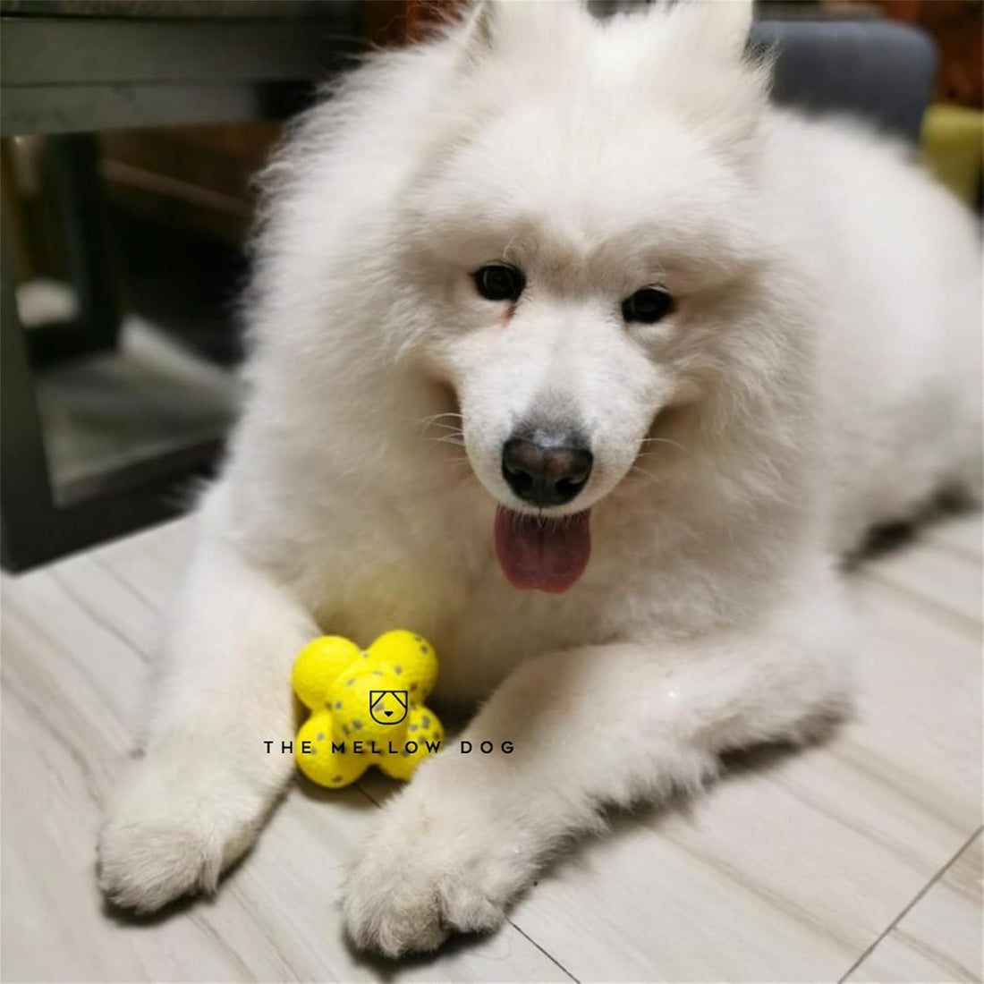 The Mellow Dog Calming Ball