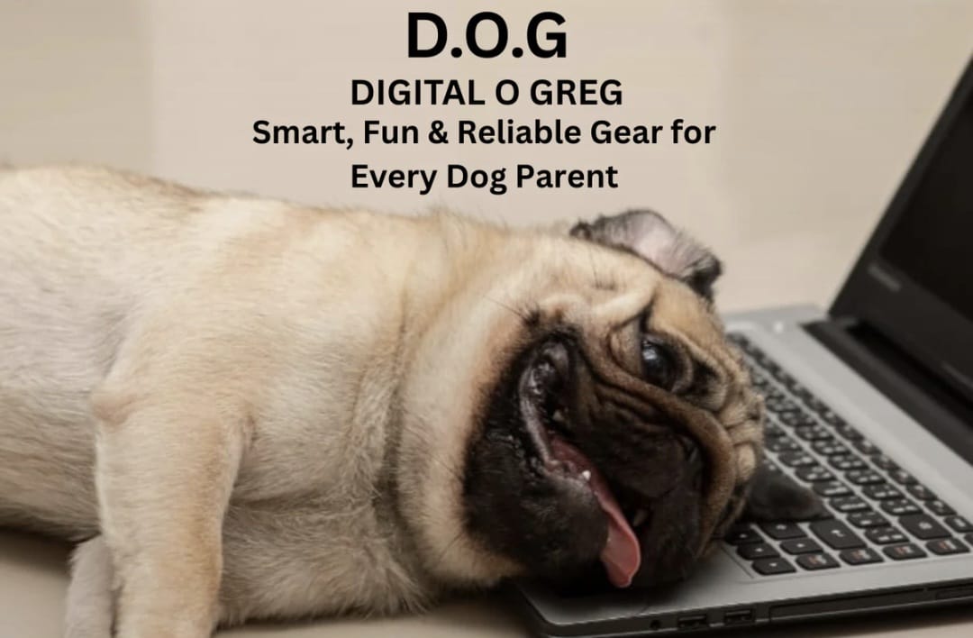 slider image 1621243260e1af0c20-2