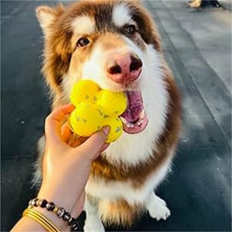 The Mellow Dog Calming Ball